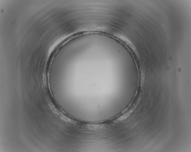 X0000076060928200610152159