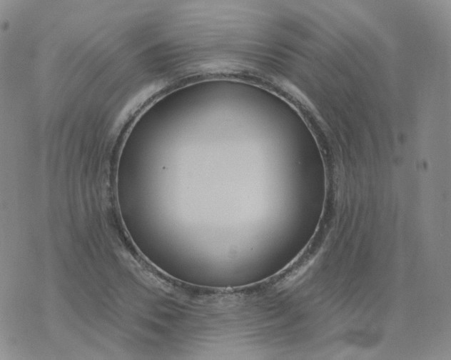 X0000076060930200610152159