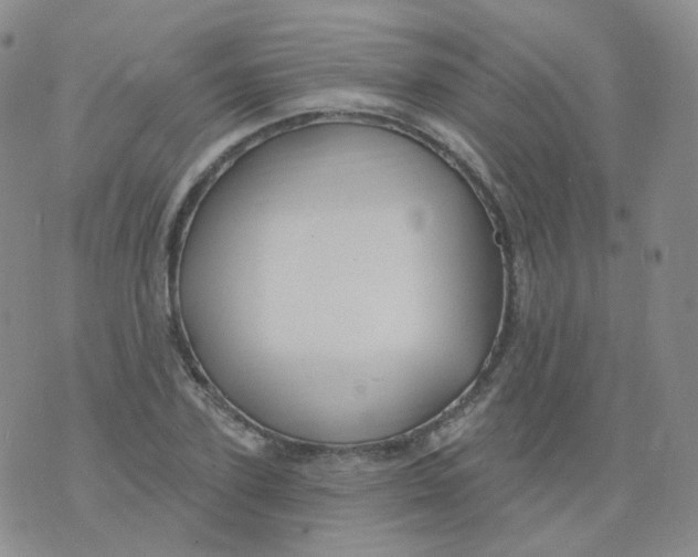 X0000076060931200610152159