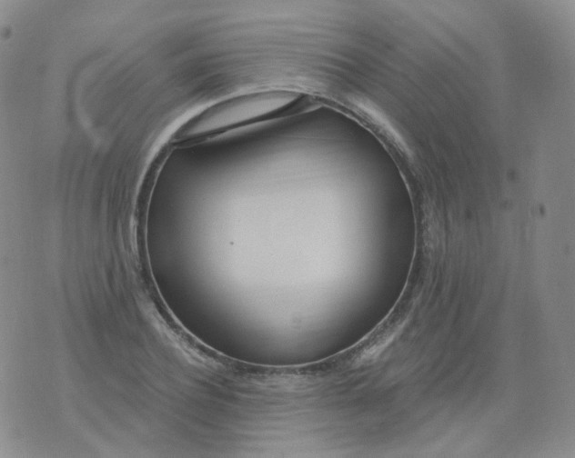 X0000076060932200610152159