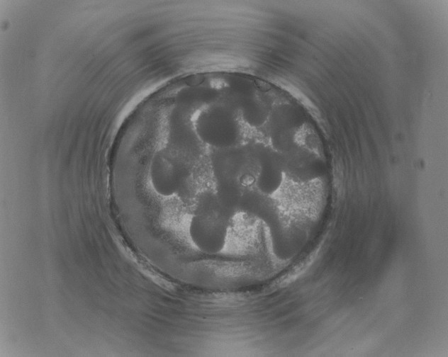 X0000076060933200610152159