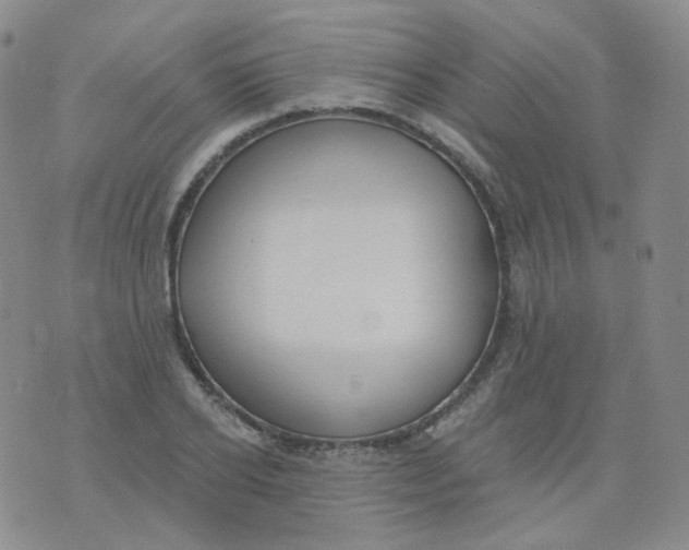 X0000076060934200610152159