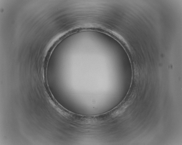 X0000076060935200610152159