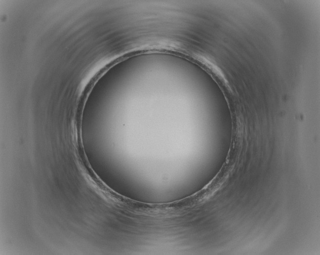 X0000076060936200610152159