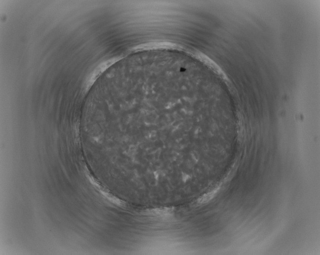 X0000076060937200610152159