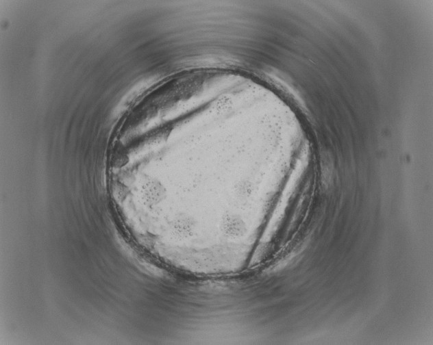 X0000076060938200610152159