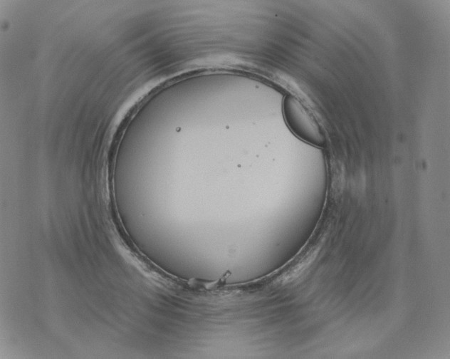 X0000076060939200610152159