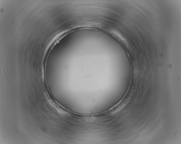 X0000076060940200610152159