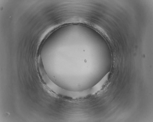 X0000076060942200610152159