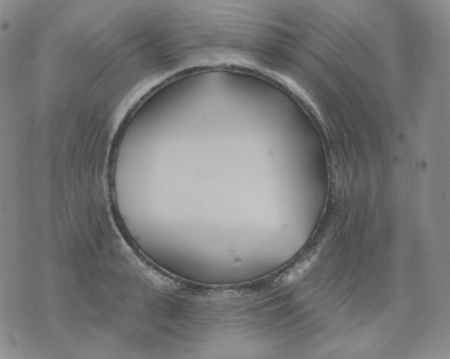 X0000076060943200610152159