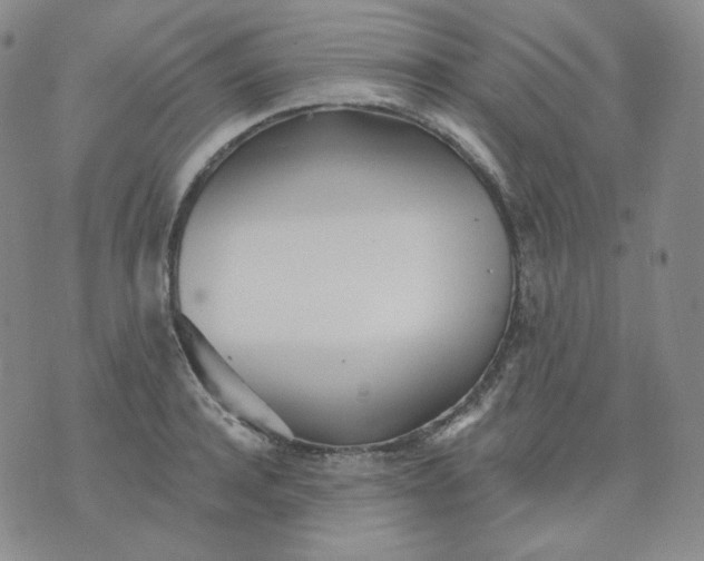 X0000076060944200610152159