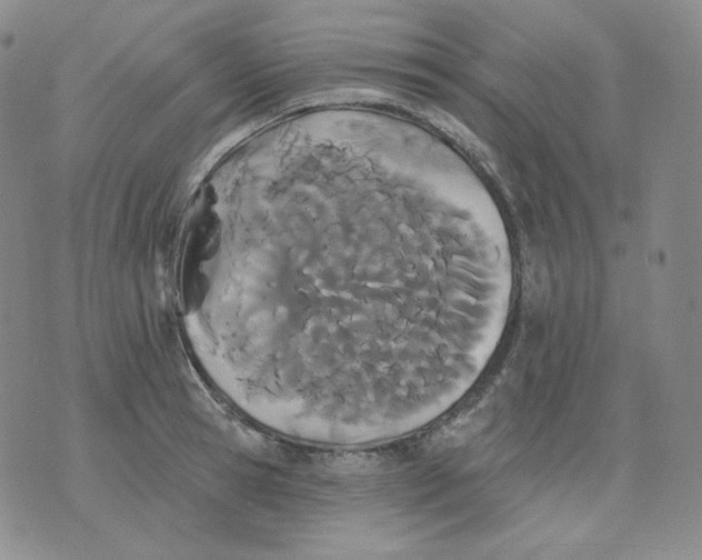 X0000076060945200610152159