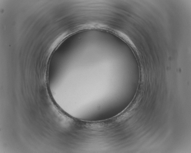 X0000076060946200610152159