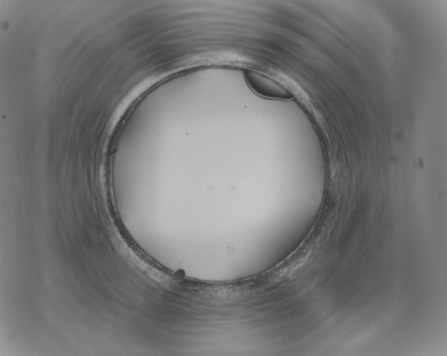 X0000076060947200610152159