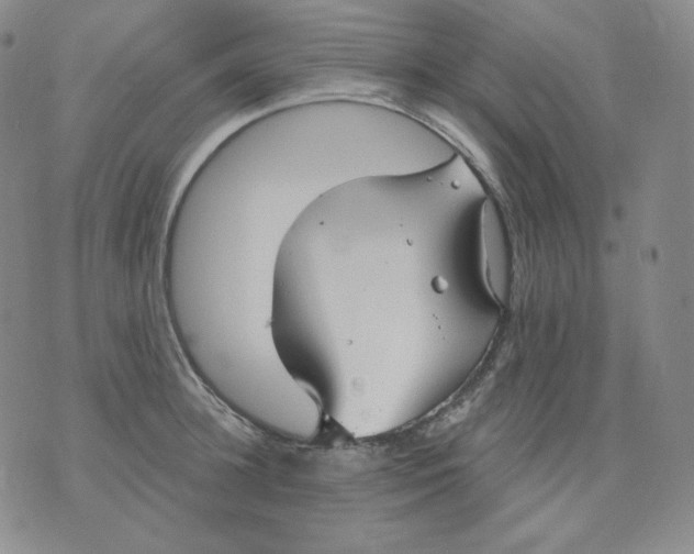 X0000076060948200610152159