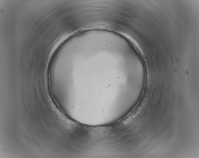 X0000076060949200610152159