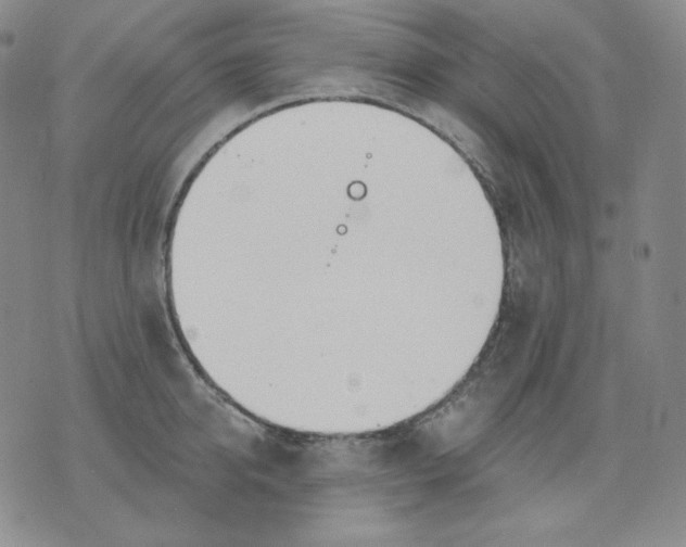 X0000076060950200610152159