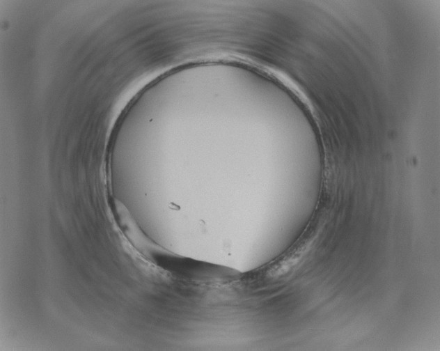 X0000076060951200610152159