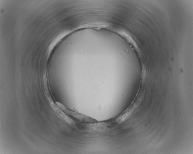 X0000076060952200610152159