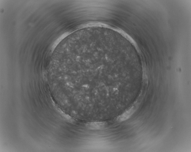 X0000076060953200610152159