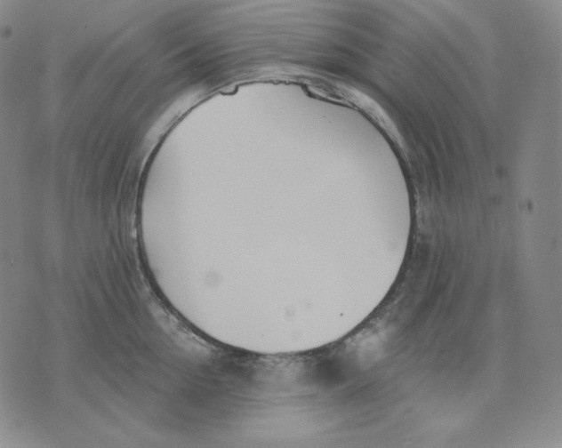 X0000076060954200610152159