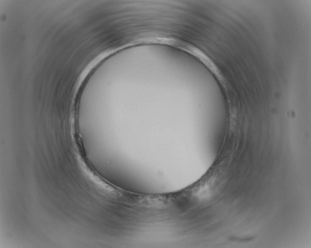 X0000076060955200610152159