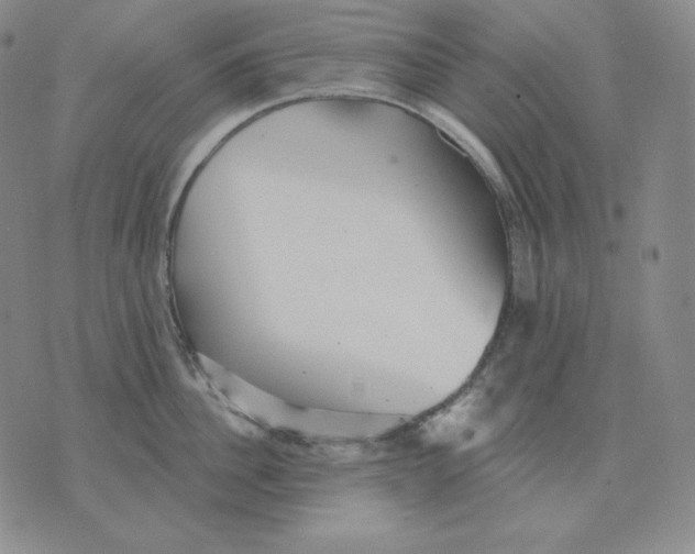 X0000076060956200610152159