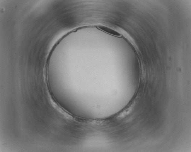 X0000076060958200610152159