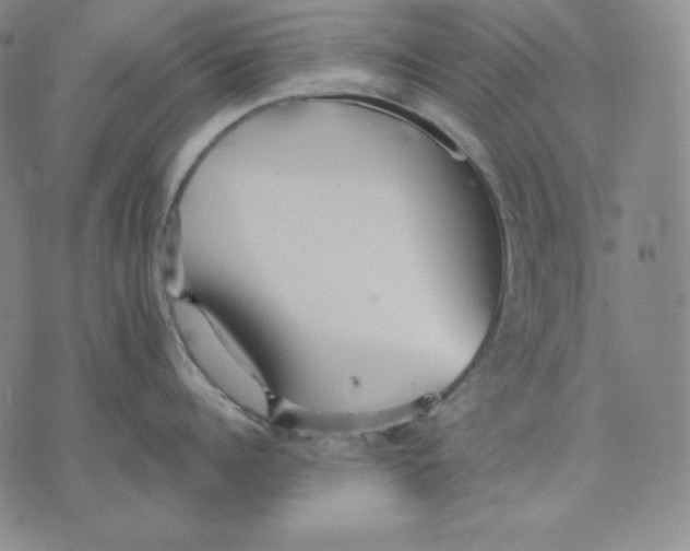 X0000076060960200610152159