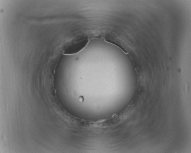 X0000076060961200610152158