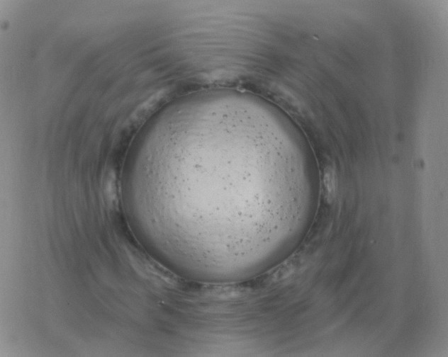 X0000076060963200610152158