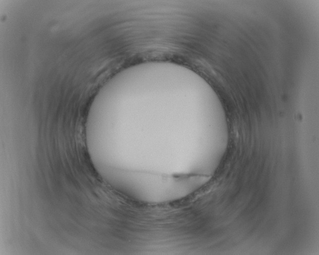 X0000076060964200610152158