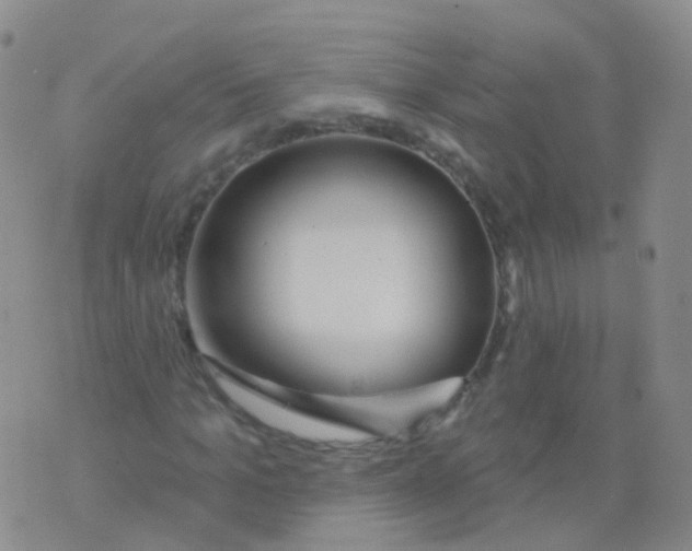 X0000076060965200610152158