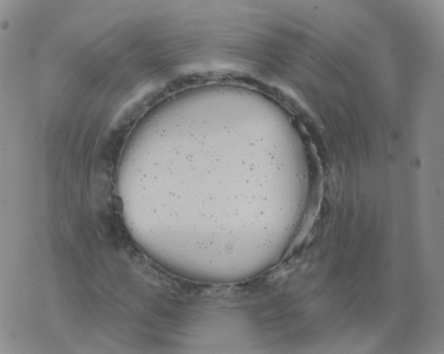 X0000076060967200610152158