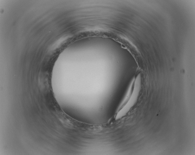 X0000076060968200610152158