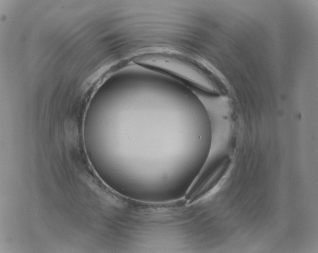 X0000076060969200610152158