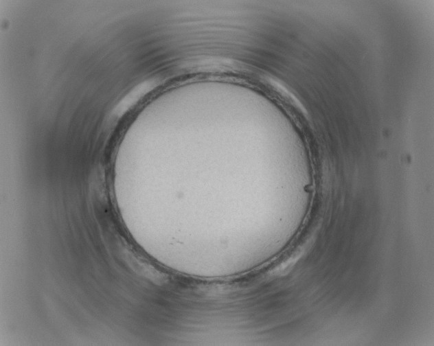 X0000076060970200610152158