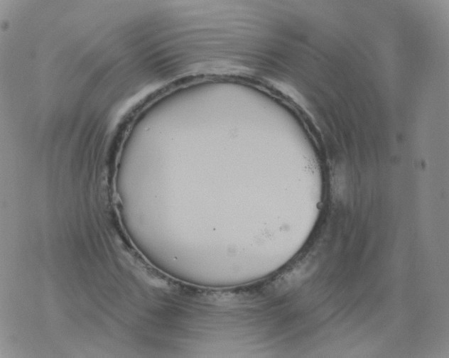 X0000076060971200610152158