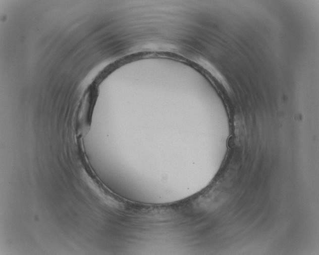 X0000076060972200610152158