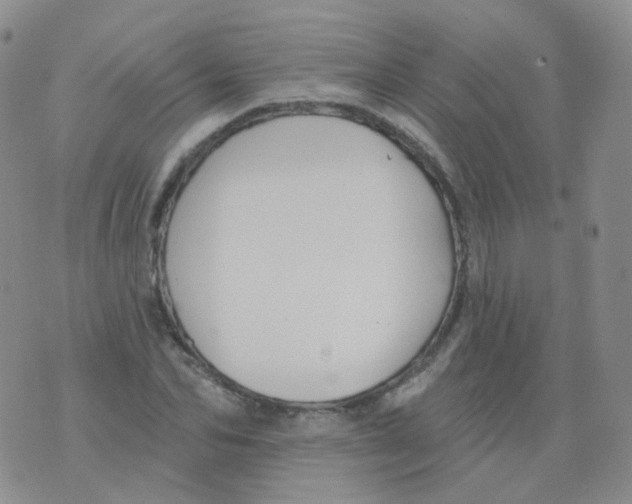 X0000076060974200610152158