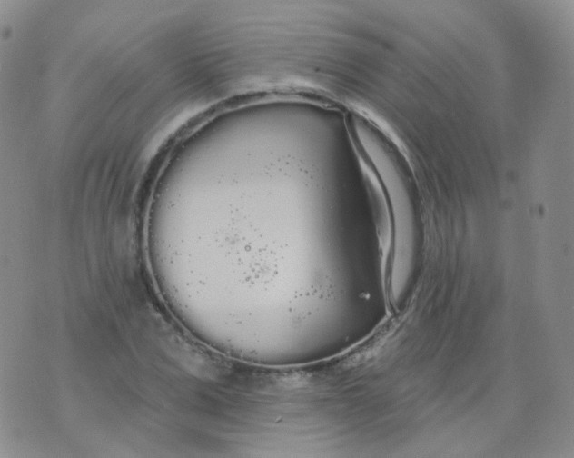 X0000076060975200610152158