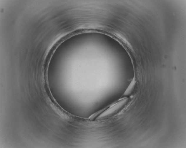 X0000076060976200610152158