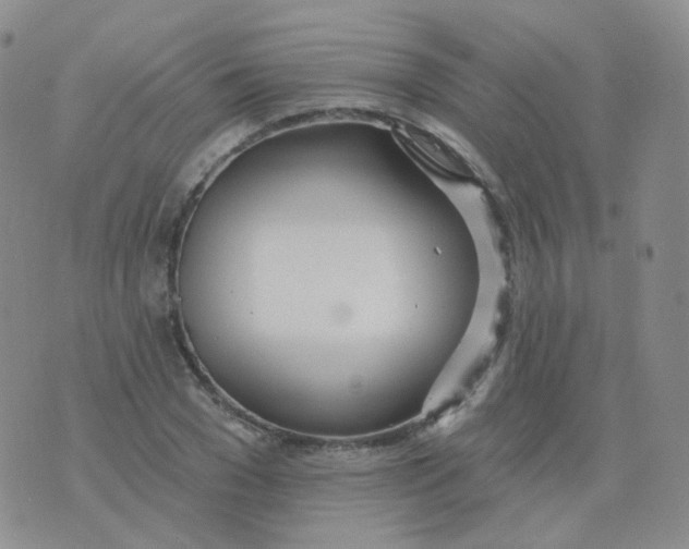 X0000076060977200610152158