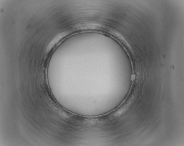 X0000076060978200610152158