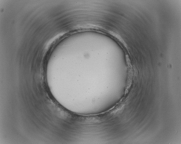 X0000076060979200610152158