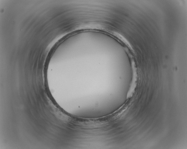 X0000076060980200610152158