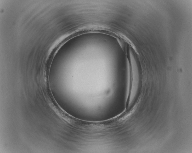 X0000076060981200610152158