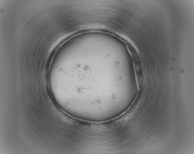 X0000076060983200610152158