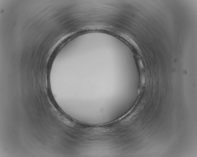 X0000076060984200610152158