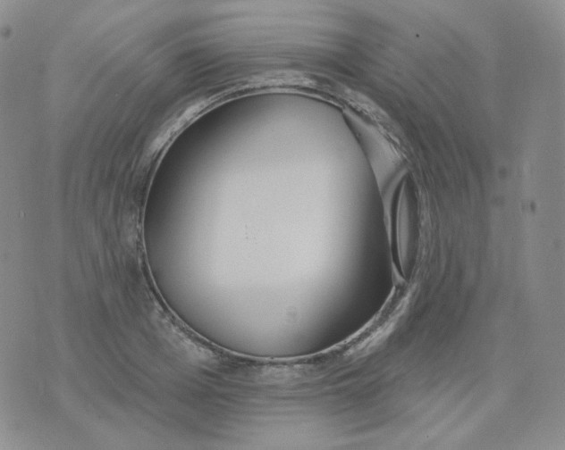 X0000076060985200610152158